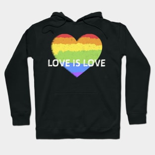 LOVE IS LOVE PRIDE GAY LGBT RAINBOW HEARTH Hoodie